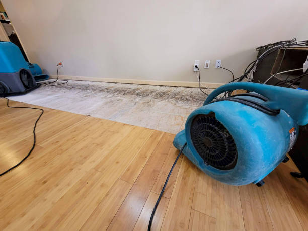 Professional Water Removal technician working in Loomis, CA